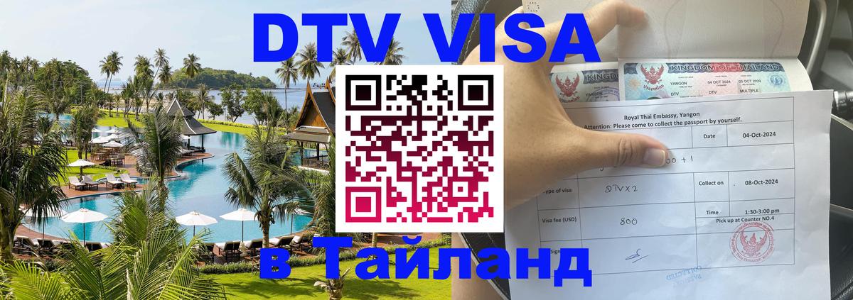 Сколько стоит DTV виза — актуальные цены, оформление даже без документов - Саранск  05.10.2025 